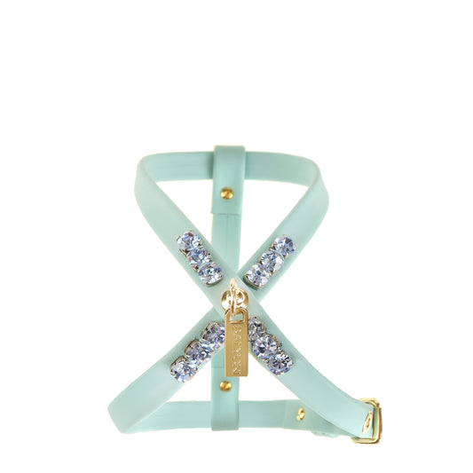 Arno Azure pet harness
