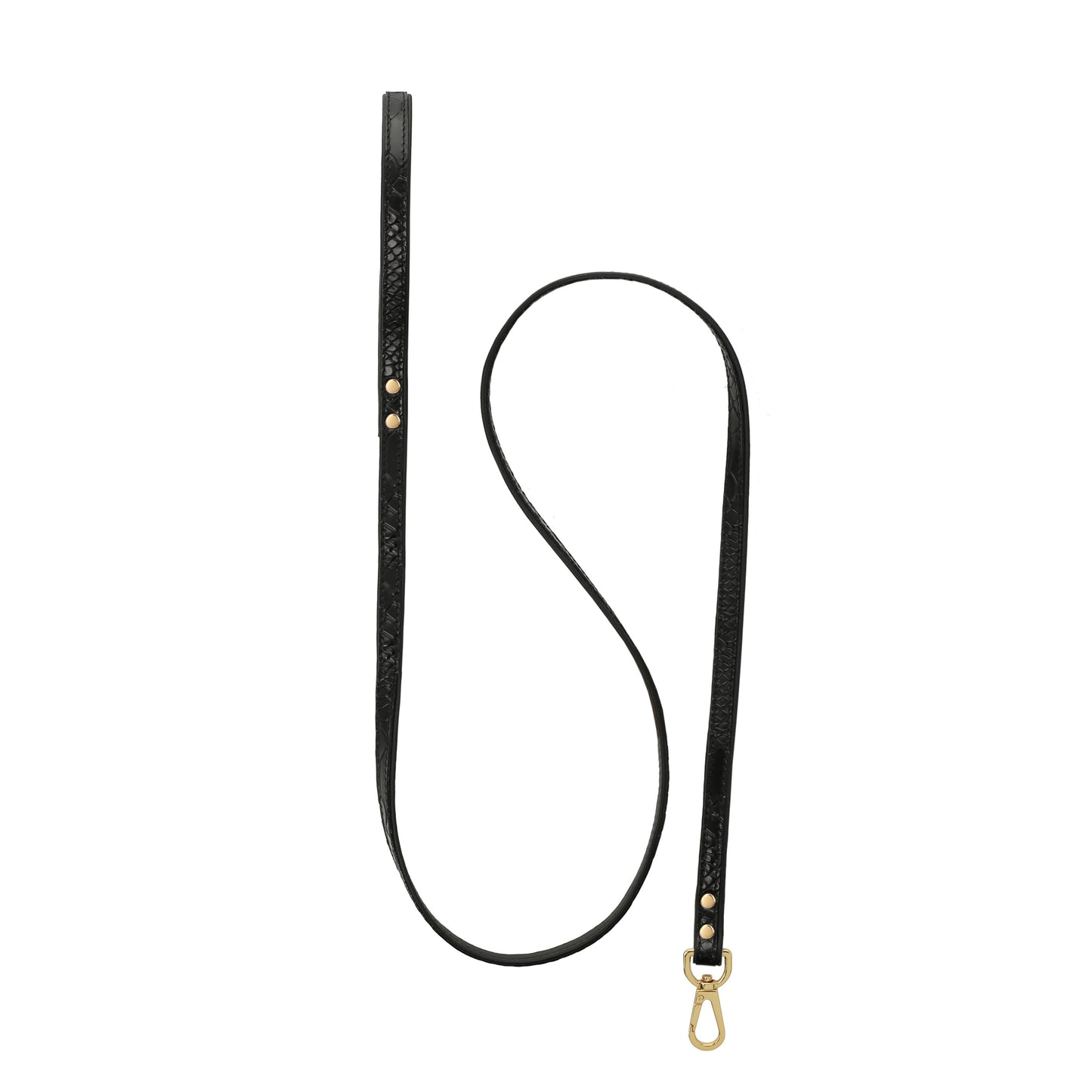 Black pet leash